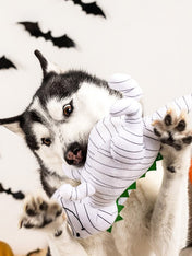 Fringe-petshop-peluche-pour-chien-halloween-dinosaure-momie
