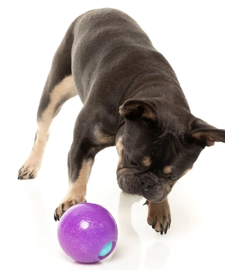 Fuzzyard-jouet-interactif-pour-chien-boule-magique-ditributeur-friandises