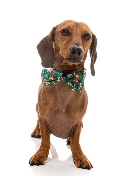 Nœud papillon pour chien - Jolly Gingerbread & Canes - FuzzYard