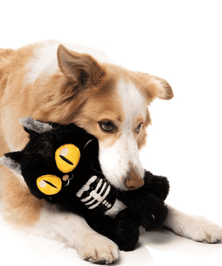 Fuzzyard-peluche-pour-chien-Halloween-chat-noir-Skelekitty