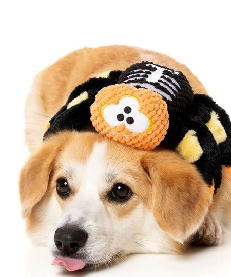 Fuzzyard-peluche-pour-chien-halloween-Fuzzy-Wuzzy-Skeletonn