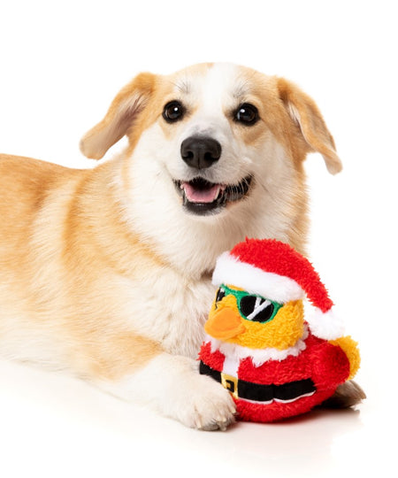 Fuzzyard-peluche-pour-chien-noel-canard-pere-noel