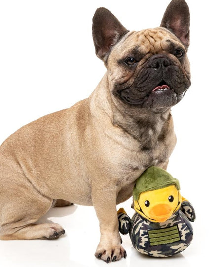 Fuzzyard-peluche-pour-chien-originale-canard-militaire
