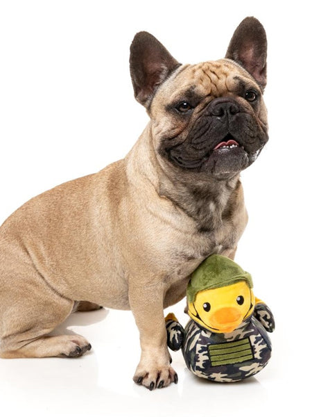 Fuzzyard-peluche-pour-chien-originale-canard-militaire