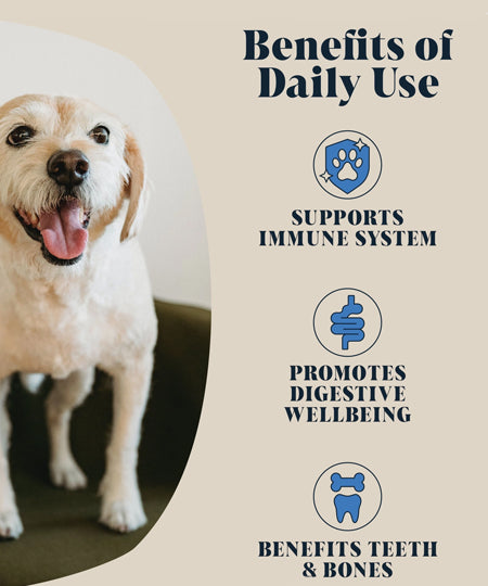 Hackney-Dog-House-complement-alimentaire-chien-lait-de-chevre