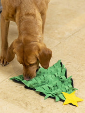 House-of-Paws-tapis-fouille-pour-chien-sapin-noel