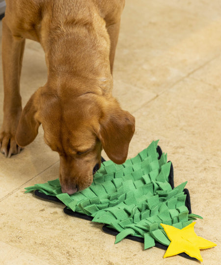 House-of-Paws-tapis-fouille-pour-chien-sapin-noel