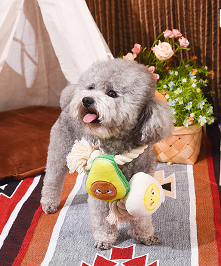 HugSmart-peluche-corde-chien-chiot-Toast-Egg