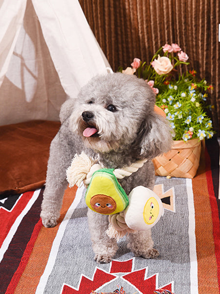 HugSmart-peluche-corde-chien-chiot-Toast-Egg