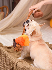 HugSmart-peluche-corde-pour-chien-chiot-Autumn-Tailz-Gland