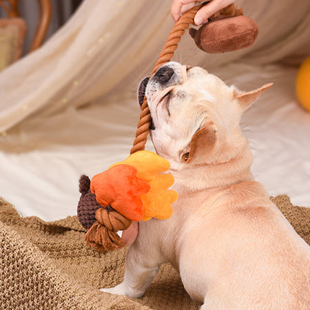 HugSmart-peluche-corde-pour-chien-chiot-Autumn-Tailz-Gland