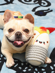 HugSmart-peluche-corde-pour-chien-chiot-burrito