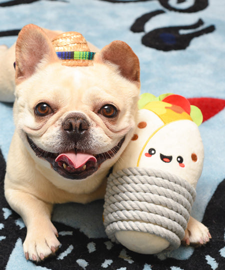 HugSmart-peluche-corde-pour-chien-chiot-burrito