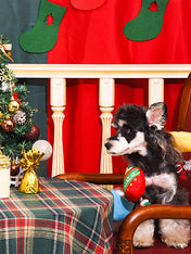 HugSmart-peluche-corde-pour-chien-chiot-guirlande-noel