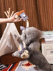 HugSmart-peluche-corde-pour-chien-chiot-raton-laveur