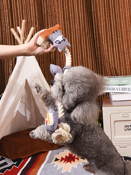 HugSmart-peluche-corde-pour-chien-chiot-raton-laveur