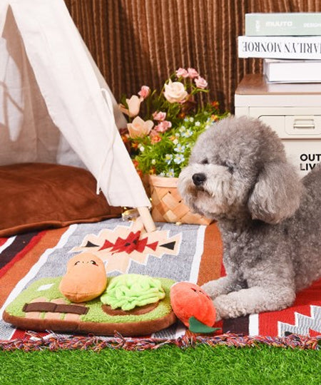 HugSmart-peluche-fouille-pour-chien-chiot-jardin-potager