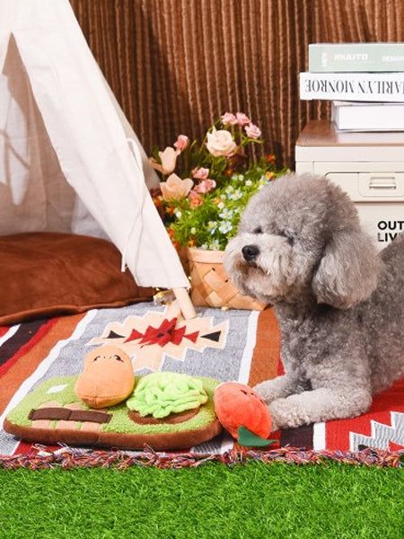 HugSmart-peluche-fouille-pour-chien-chiot-jardin-potager