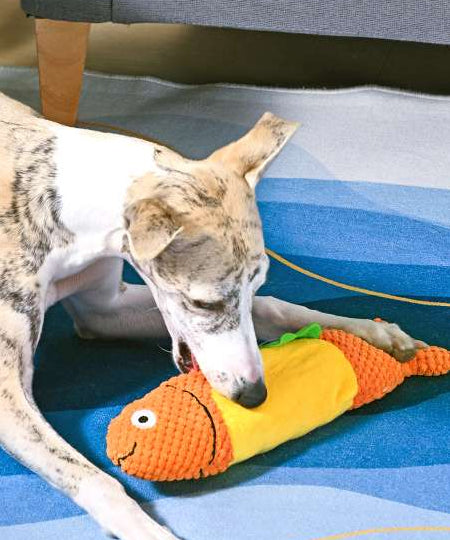 HugSmart-peluche-interactive-pour-chien-chiot-Food-Party-Shaky-Fish-Taco