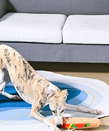 HugSmart-peluche-interactive-pour-chien-chiot-Food-Party-Shaky-sandwich