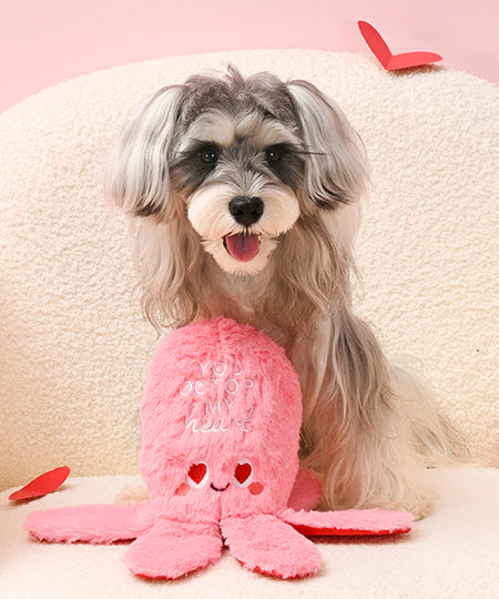 HugSmart-peluche-interactive-pour-chien-chiot-saint-valentin-poulpe