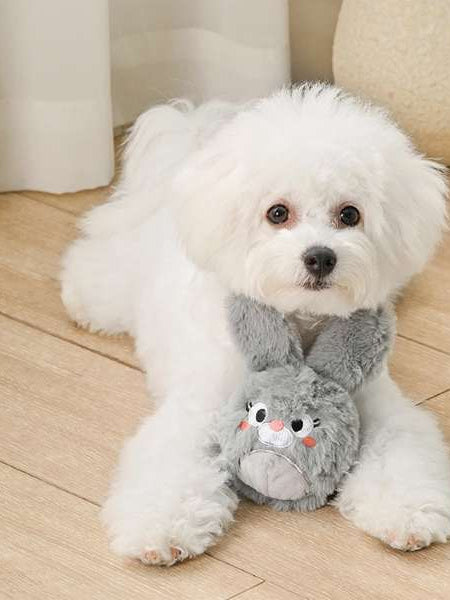 HugSmart-peluche-pour-chien-chiot-balle-lapin-paques
