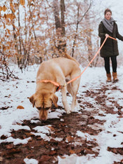 Hunter-collier-biothane-pour-chien-orange-fluo