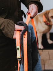 Hunter-longe-convenience-pour-chien-orange-fluo-5-metres