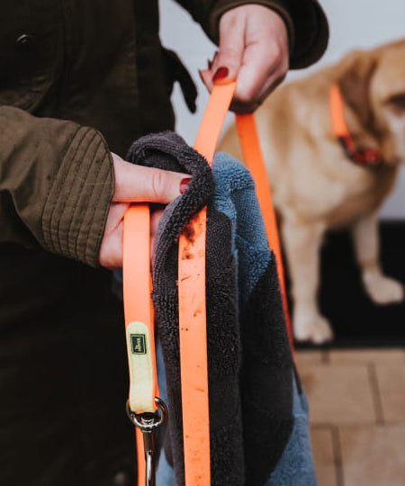 Hunter-longe-convenience-pour-chien-orange-fluo-5-metres