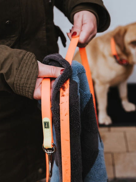 Hunter-longe-convenience-pour-chien-orange-fluo-5-metres