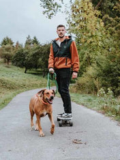 Hunter-longe-convenience-pour-chien-vert-5-metres