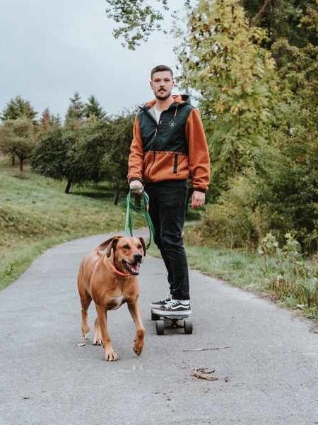Hunter-longe-convenience-pour-chien-vert-5-metres