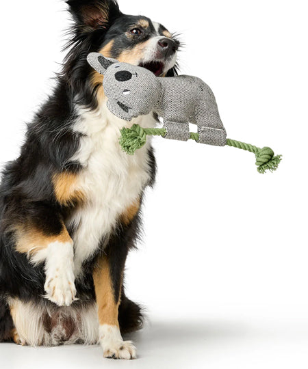 Hunter-peluche-chien-tout-doux-koala-corde