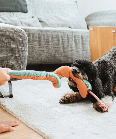 Hunter-peluche-chien-tout-doux-serpent-corde