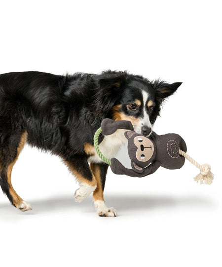 Hunter-peluche-chien-tout-doux-singe-corde