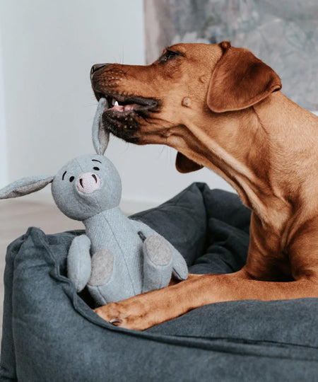 Hunter-peluche-cochon-laine-tout-doux-chien