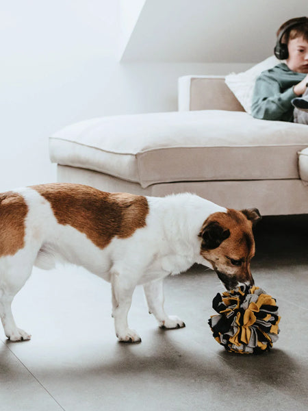 Hunter-tapis-de-fouille-pour-chien-balle-billund