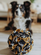 Hunter-tapis-de-fouille-pour-chien-balle-billund