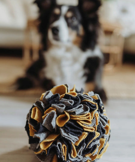 Hunter-tapis-de-fouille-pour-chien-balle-billund