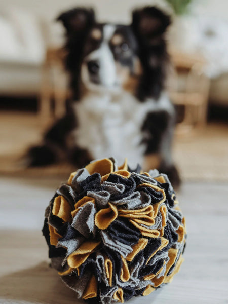 Hunter-tapis-de-fouille-pour-chien-balle-billund