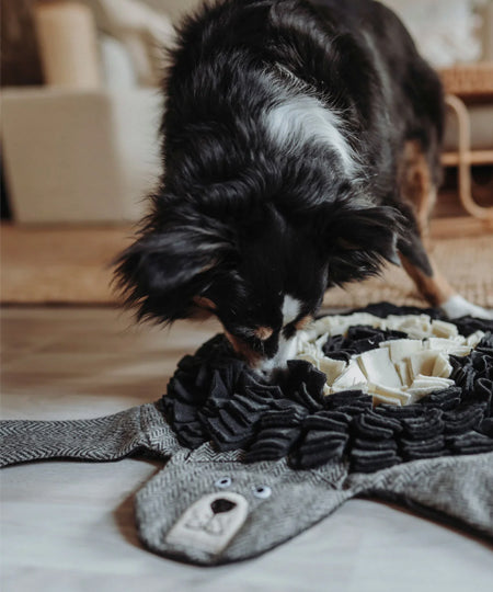 Hunter-tapis-de-fouille-pour-chien-ours-Billund