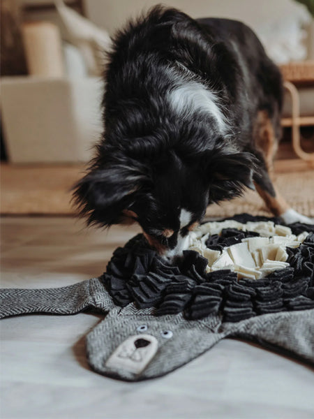 Hunter-tapis-de-fouille-pour-chien-ours-Billund