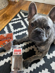 JR-pet-products-friandises-pour-chien-dinde