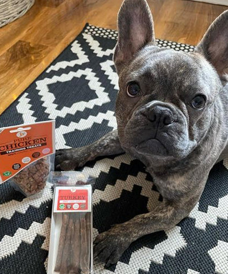 JR-pet-products-friandises-pour-chien-dinde