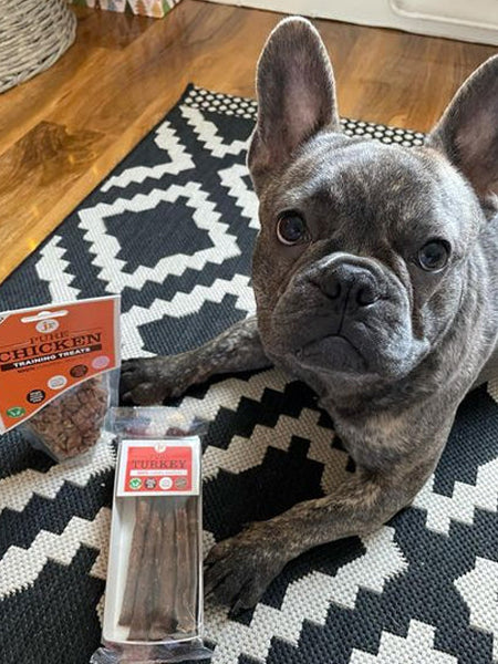 JR-pet-products-friandises-pour-chien-dinde