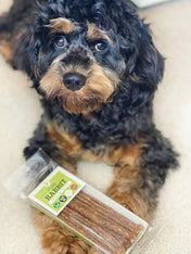 JR-pet-products-friandises-pour-chien-lapin