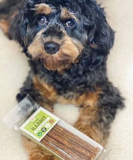 JR-pet-products-friandises-pour-chien-lapin