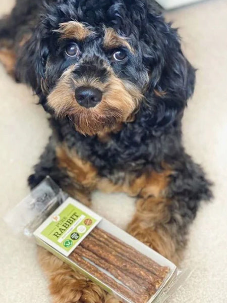 JR-pet-products-friandises-pour-chien-lapin