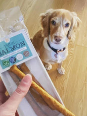 JR-pet-products-friandises-pour-chien-saumon