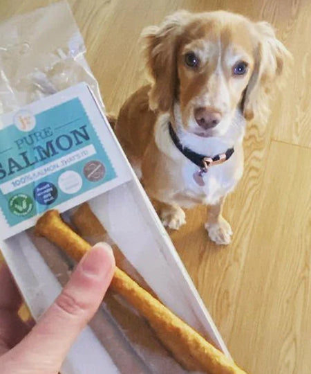 JR-pet-products-friandises-pour-chien-saumon
